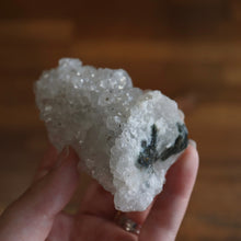 Load image into Gallery viewer, Apophyllite White Druzy Cluster | Translucent Cluster of authentic gemstone crystals | Open Heart Higher Wisdom | Genuine Gems from Crystal Heart Melbourne Australia since 1986