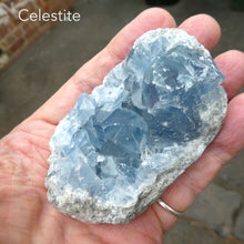Load image into Gallery viewer, Celestite Cluster | Madagascar | Nice colour &amp; crystal formation | Gemini | relax Clarify Mind | Genuine Gems from Crystal Heart Melbourne Australia since 1986