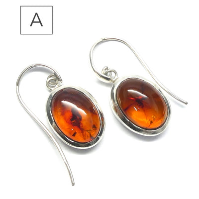Amber Earrings, Baltic, Cabochon, 925 Sterlng Silver d1