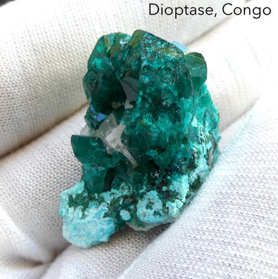 Natural Dioptase Druzy Specimen | Congo | Well formed Crystals | Joyful Heart | Scorpio | Saggittarius | Virgo | Crystal Heart Melbourne Australia since 1986