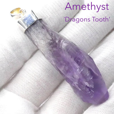 Amethyst Pendant | Raw Crystal Point | Bahia Brazil | Dragons Tooth | Meditative & inspirational | Genuine Gems from Crystal Heart Melbourne Australia est 1986