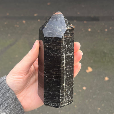 Black Tourmaline Generator | Protection | Healing | Grounding | Transcend Opposites | Genuine Gems from Crystal Heart Melbourne since 1986
