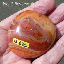 Load image into Gallery viewer, Carnelian Freeform Polished pieces | Deep to pale veined orange red | Hand sized for meditation or healing |  Stimulate Spiritual Creative Energy, gestation | Ground Scattered Thoughts | Aries Leo Cancer Star Stone  | Genuine Gemstones from Crystal Heart Melbourne since 1986