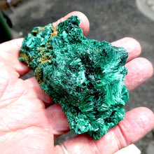 Load image into Gallery viewer, Crystalline Malachite Cluster |  fans of needle shaped crystals giving a delicate silky  appearance | Malachite energy but clearer, more refined and light hearted | detox nature healing feminine power | Genuine Gemstones from Crystal Heart Melbourne Australia since 1986