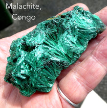 Load image into Gallery viewer, Crystalline Malachite Cluster |  fans of needle shaped crystals giving a delicate silky  appearance | Malachite energy but clearer, more refined and light hearted | detox nature healing feminine power | Genuine Gemstones from Crystal Heart Melbourne Australia since 1986