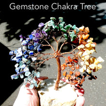 Load image into Gallery viewer, Chakra Gem Tree | Bronze Wire | Jasper Base | Gemstone chips | Chakra Colours | Drilled &amp; wired not glued | Tree of Life | Crystal Heart Melbourne Australia since 1986