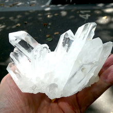 Load image into Gallery viewer, Large Clear Quartz Cluster | well formed Crystals | Perfect Points and Clarity | Balanced wholistic form |  Clarity of mind | Inspiration | Crown Chakra  | Genuine Gems from Crystal Heart Melbourne Australia since 1986