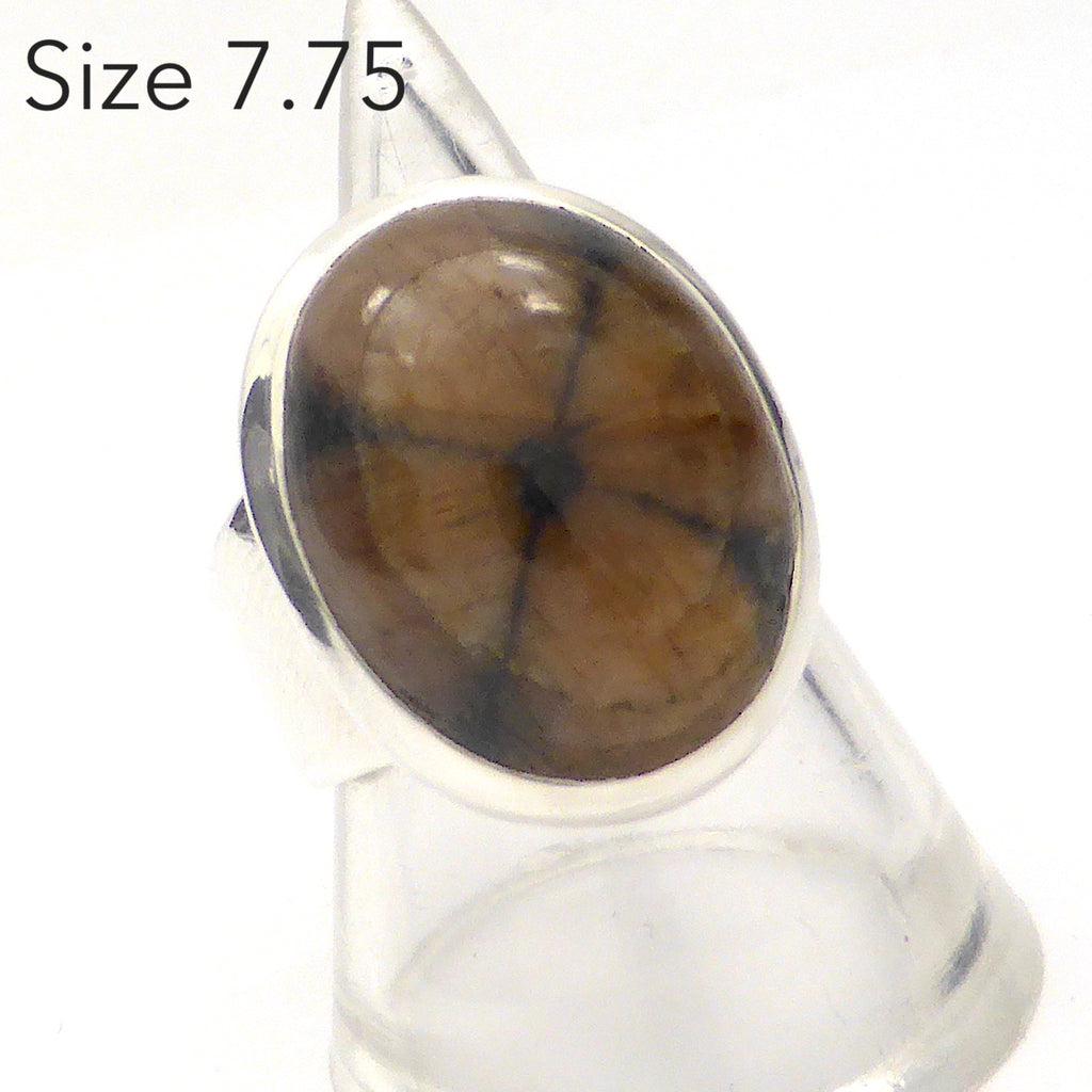 Chiastolite Ring | Oval Cabochon | 925 Sterling Silver | US Size 7.75 | Andalusite Variety | Protection for Travellers | Centred Strength | Crystal Heart Melbourne Australia since 1986