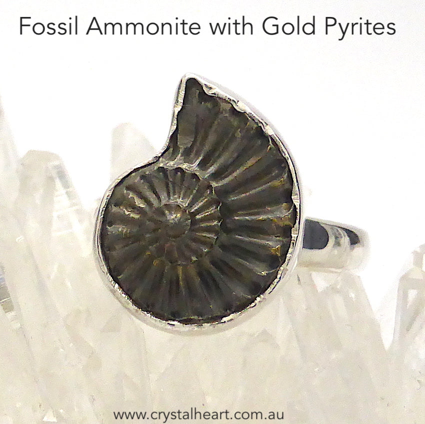 Ammonite Fossil Ring | Imprint of the Fossil coated with Iron Pyrites |  925 Sterling Silver | Steam Punk | US Ring Size 7 ~ 9 | Genuine Gems from Crystal Heart Australia Melbourne Australia since 1986