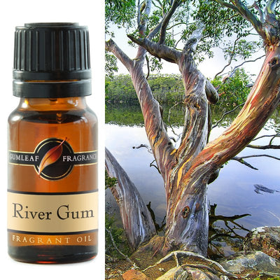 Fragrance Oil | River Gum Aroma | Eucalypts, ferns and moss, with spring wildflowers | Buckly & Phillip's | Australian Made | Ideal for use in oil burners, pot pourri & home fragrancing | Crystal Heart Australian Alternative Superstore since 1986 |