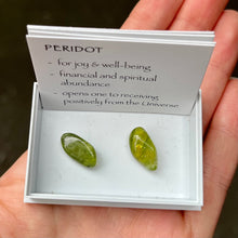 Load image into Gallery viewer, Peridot Specimens | Heart Chakra | Relax | Joy | Overcome Nervous Tensions | Stone of Merchants and Wealth | Crystal Heart Melbourne Australia since 1986