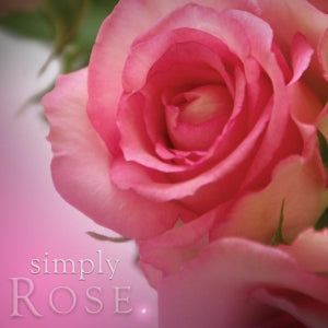 Simply Rose Incense | Beautifully Smelling Incense | 25 x 1 hour burn | Buckly and Phillips | Crystal Heart Since 1986 |