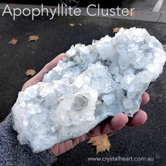 Apophyllite Collection