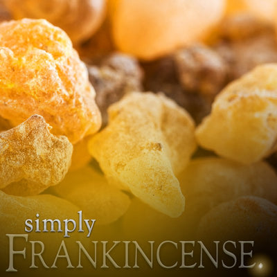 Simply Frankincense Incense | Beautifully Smelling Incense | 25 x 1 hour burn | Buckly and Phillips | Crystal Heart Since 1986 | 
