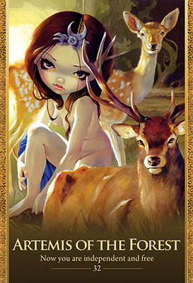 Oracle of The Shapeshifters | Lucy Cavendish | 45 Card Deck  | Shamans, Witches, Wizards | Crystal Heart Superstore Since 1986 |