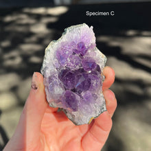 Load image into Gallery viewer, Amethyst Cluster |  ~ Balancing and Purifying energies and much more | Meditation | Protection | Third Eye Chakra | Genuine Gems from Crystal Heart Melbourne Australia since 1986