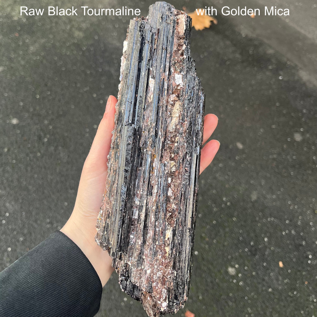 Black Tourmaline Crystal Specimen | Natural uncut raw crystal | Associated Golden Mica | Protection | Energising | Genuine Gems from Crystal Heart Melbourne Australia since 1986