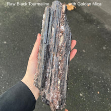Load image into Gallery viewer, Black Tourmaline Crystal Specimen | Natural uncut raw crystal | Associated Golden Mica | Protection | Energising | Genuine Gems from Crystal Heart Melbourne Australia since 1986