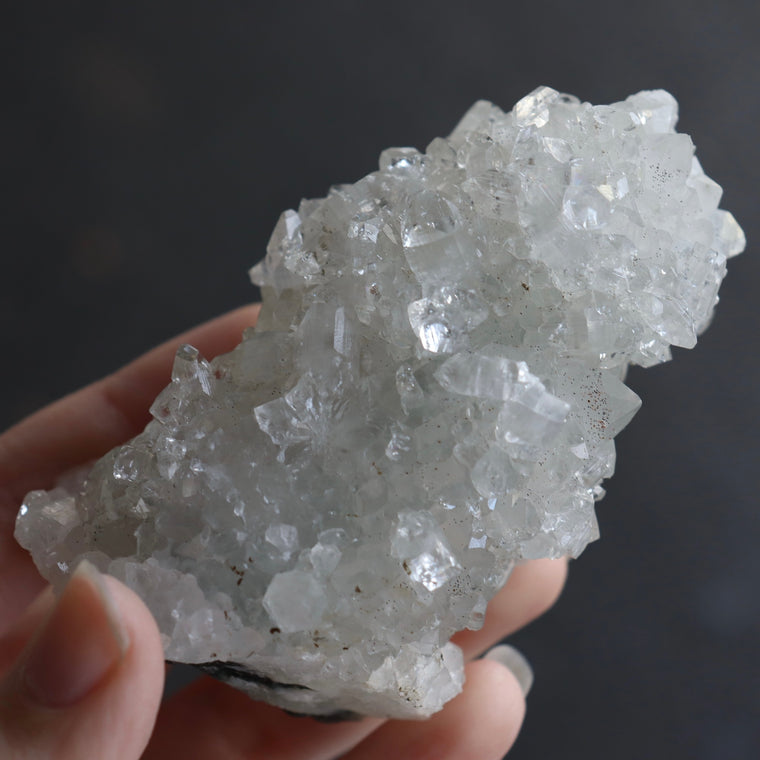 Apophyllite Cluster (Druzy)