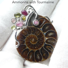 Load image into Gallery viewer, Ammonite Fossil Pendant |Orange Amber Aragonite Crysta inclusionl | Seven Tourmaline Cabochons  Gteen | Pink | Yellow | Redirecting energy | Unblocking Chakras | Helps your energy spiral out into the world yet be protected | Genuine Gems from Crystal Heart Australia Melbourne Australia since 1986