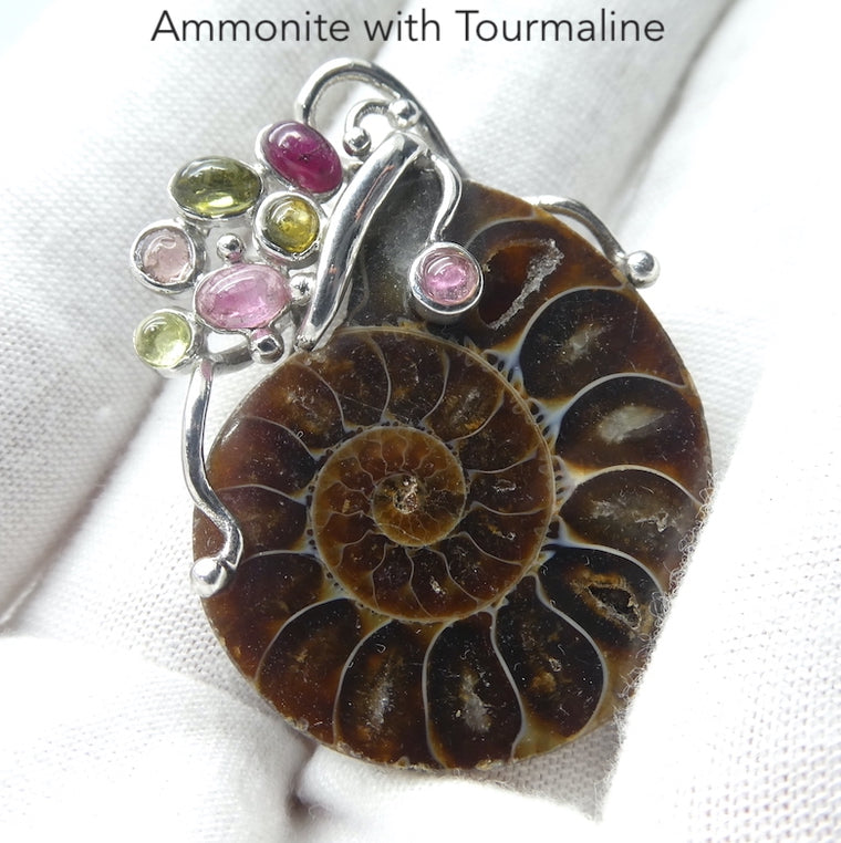 Ammonite Fossil Pendant with Tourmaline Cabochons