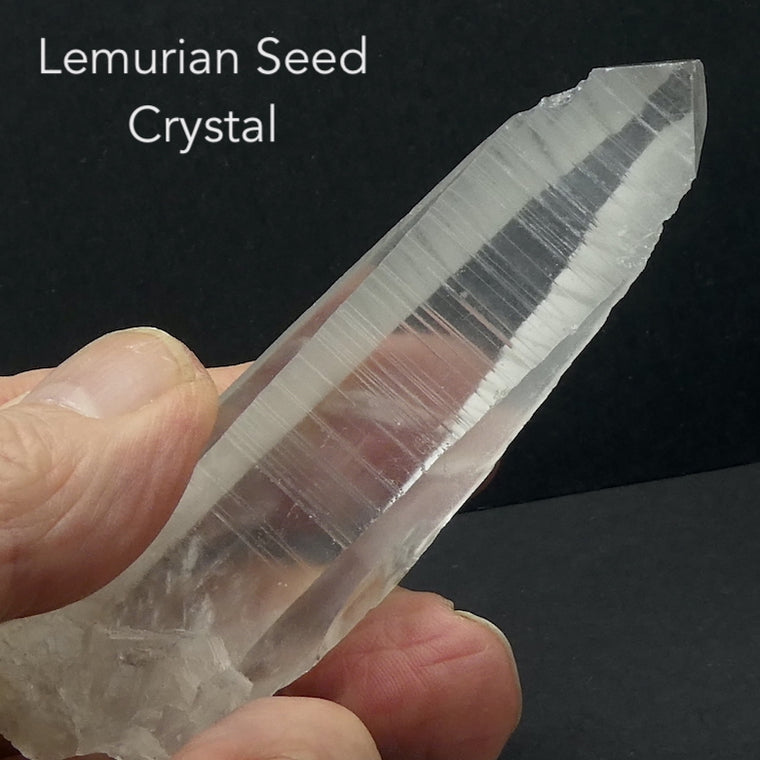 Lemurian Seed Clear Quartz Laser Crystal 2.