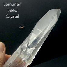 Load image into Gallery viewer, Lemurian Seed Laser Crystal | Clear Quartz Natural Point | Coded with Ancient Knowledge | Meditation | Healing | Manifestation | Clearing | Genuine Gems from Crystal Heart Melbourne Australia since 1986