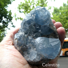 Load image into Gallery viewer, Celestite Cluster | Madagascar | Nice colour &amp; crystal formation | Shaped into an Egg | Gemini | Relax Clarify Mind | Open Higher Communication | AKA Celestine or Celestina | Genuine Gems from Crystal Heart Melbourne Australia since 1986