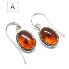 Load image into Gallery viewer, Amber Earrings, Baltic, Cabochon, 925 Sterlng Silver d1