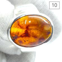 Load image into Gallery viewer, Baltic Amber Ring | Nice Oval Cabochons | Classic Golden Brown with Inclusions | 925 Sterling silver | US Size 7.5 | 9 | 10 | Bezel Set | Open back | Genuine Gems from Crystal heart Melbourne Australia since 1986