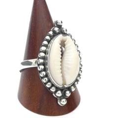 Fossils & Shells Collection