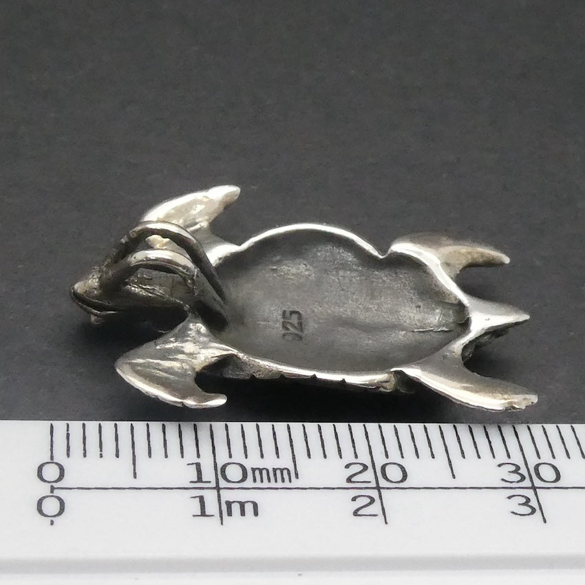 Turtle Pendant, Loggerhead. 925 Sterling Silver – Crystal Heart