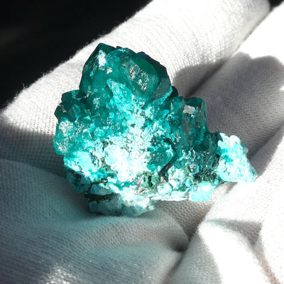 Natural Dioptase Druzy Specimen | Congo | Well formed Crystals | Joyful Heart | Scorpio | Saggittarius | Virgo | Crystal Heart Melbourne Australia since 1986