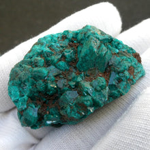 Load image into Gallery viewer, Natural Dioptase Druzy Specimen | Congo | Well formed Crystals | Joyful Heart | Scorpio | Saggittarius | Virgo | Crystal Heart Melbourne Australia since 1986