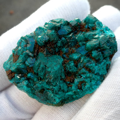 Natural Dioptase Druzy Specimen | Congo | Well formed Crystals | Joyful Heart | Scorpio | Saggittarius | Virgo | Crystal Heart Melbourne Australia since 1986