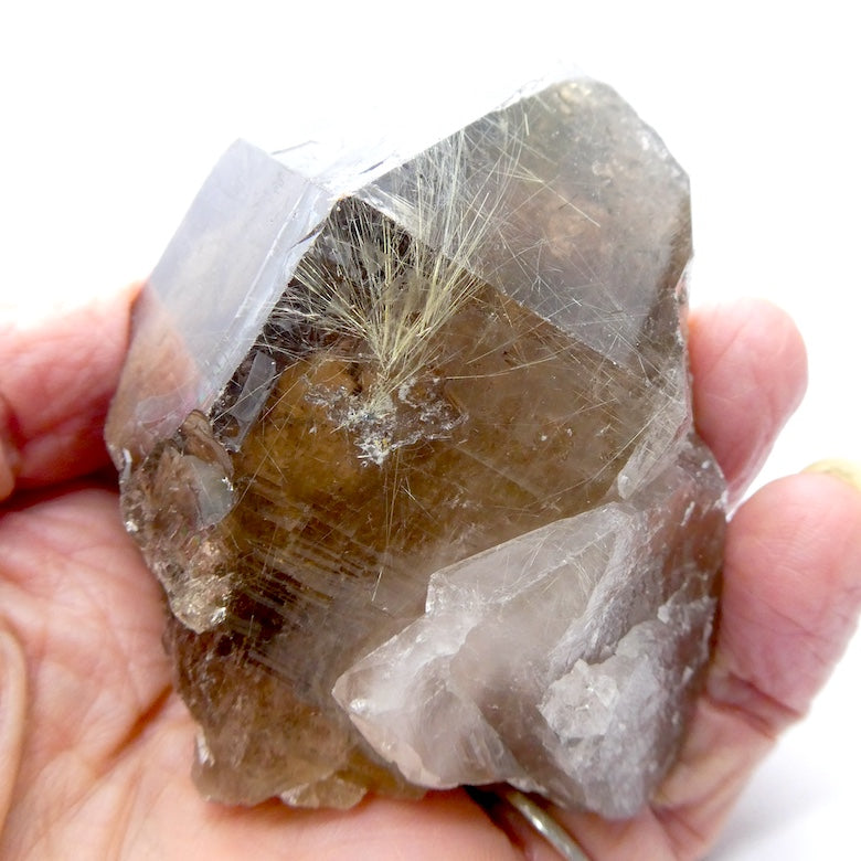 Rutilated Smoky Quartz Specimen | Bright Gold Rutile | Mellow Smoky Quartz | Crown Chakra | New Directions | Prosperity | Crystal Heart Australia est 1986
