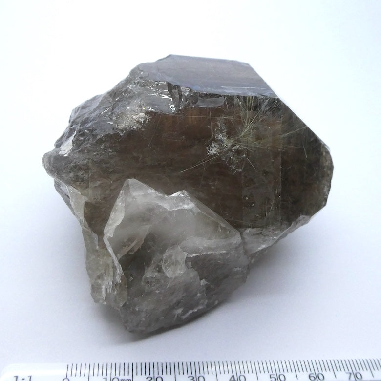 Rutilated Smoky Quartz Specimen | Bright Gold Rutile | Mellow Smoky Quartz | Crown Chakra | New Directions | Prosperity | Crystal Heart Australia est 1986