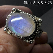 Load image into Gallery viewer, Rainbow Moonstone Ring | Faceted Oval | Blue Flash | 925 Sterling Silver | Intricate Gothic inspired detaI | US SIZE 6, 8, 8.75 | Crystal Heart Melbourne est 1986