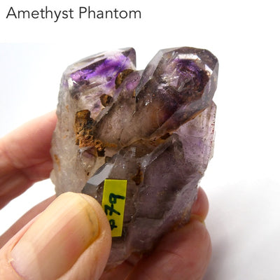 Amethyst Shaman Phantom Cluster, Zimbabwe