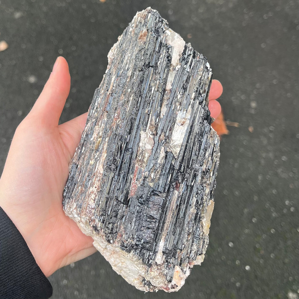 Black Tourmaline Crystal Specimen | Natural uncut raw crystal | Associated Golden Mica | Protection | Energising | Genuine Gems from Crystal Heart Melbourne Australia since 1986
