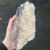 Black Tourmaline Crystal Specimen | Natural uncut raw crystal | Associated Golden Mica | Protection | Energising | Genuine Gems from Crystal Heart Melbourne Australia since 1986