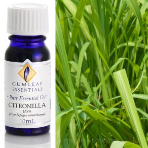 Citronella Essential oil 10ml