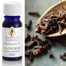 Load image into Gallery viewer, Clove Bud Essential oil 10ml