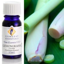 Load image into Gallery viewer, Lemongrass essential oil 10ml