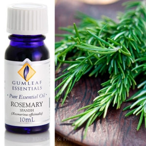 Rosemary - Spanish