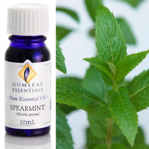 Spearmint