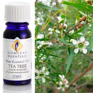 Tea Tree - Lemon Scented Essential Oil