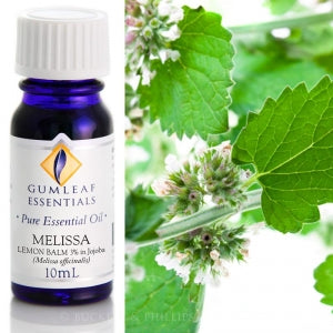 Melissa essential oil 10ml