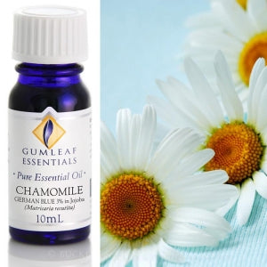 Chamomile 3% in Jojoba essential oil 10ml