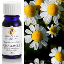 Load image into Gallery viewer, Chamomile German Blue 3% in Jojoba essential oil 10ml